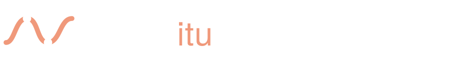 Logo Visita Itu - versão para fundo escuro
